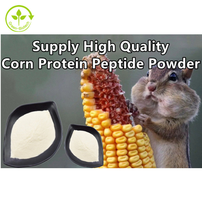 Chiết xuất thực vật Protein ngô peptide Hỗ trợ bột ngô peptide tự nhiên chất lượng cao