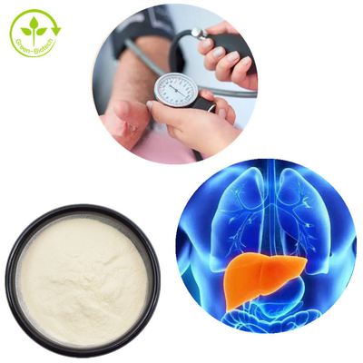 Chiết xuất thực vật Protein ngô peptide Hỗ trợ bột ngô peptide tự nhiên chất lượng cao