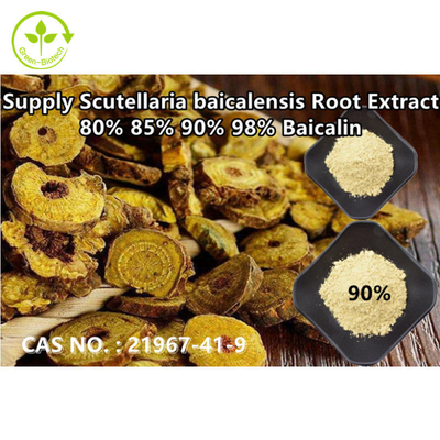 Cung cấp công nghệ sinh học xanh Chiết xuất Baical Skullcap có độ tinh khiết cao Baicalin 80% 85% 90% 98% CAS NO.:21967-41-9