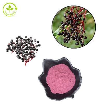 1% - 25% Chiết xuất quả cơm cháy dạng bột 25kg/phuy cho sản phẩm chăm sóc sức khỏe