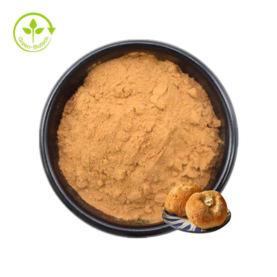 Lions Mane Mycelium Extract Hericium Erinaceus Mushroom Powder 30%