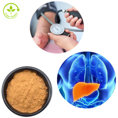 Lions Mane Mycelium Extract Hericium Erinaceus Mushroom Powder 30%