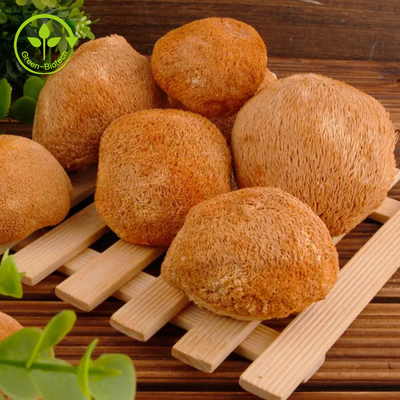 Lions Mane Mycelium Extract Hericium Erinaceus Mushroom Powder 30%