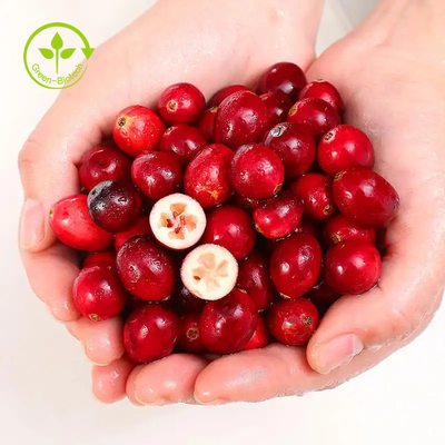 Bột chiết xuất nam việt quất hữu cơ 4:1 Anthocyanidin 25% chiết xuất từ ​​quả nam việt quất / Vaccinium Macrocarpon