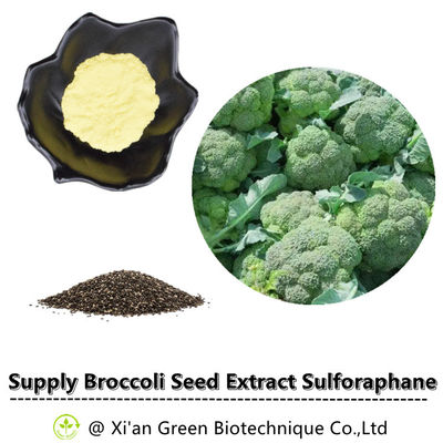 Cung cấp Sulforaphane 1% 2% 10% Bột SFN Chiết xuất hạt bông cải xanh Bổ sung Sulforaphane