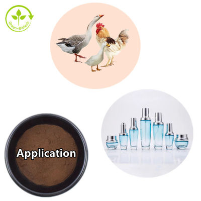 Chiết xuất Hypericum Perforatum 0,3% Hypericin St Johns Wort Extract Powder