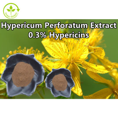 Chiết xuất Hypericum Perforatum 0,3% Hypericin St Johns Wort Extract Powder