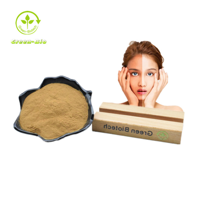 Bột chiết xuất từ ​​lá dâu tằm 1% - 10% để chăm sóc sức khỏe