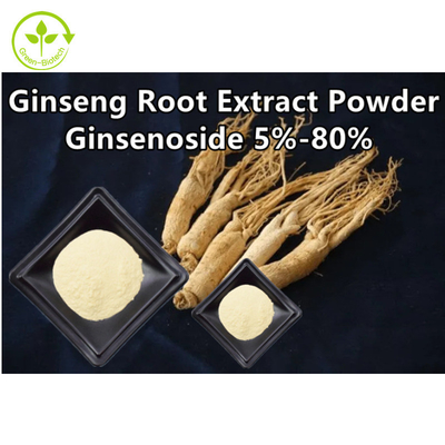 Bột chiết xuất từ ​​​​rễ nhân sâm thảo dược Ginsenoside 5% - 80%