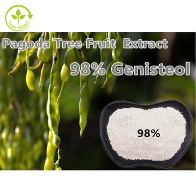 Bột chiết xuất thực vật 98% Genistein Fructus Sophorae Nepeta Japonica Maxim