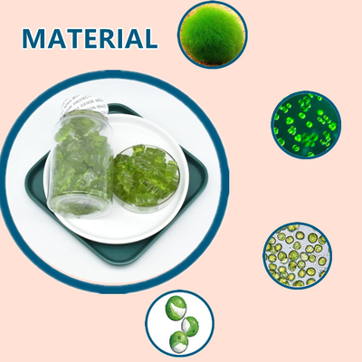 Chiết xuất thực vật Raw Sea Moss Gummies Bổ sung chế độ ăn uống