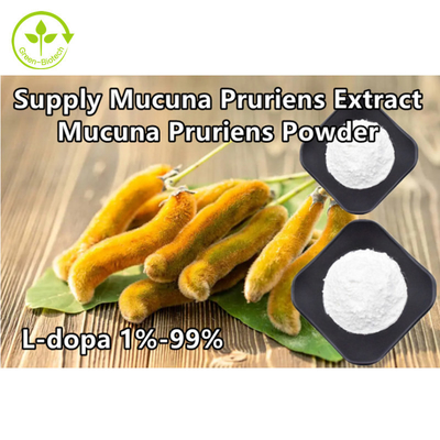 Chiết xuất thực vật Mucuna Pruriens 98% 99% L-Dopa Powder