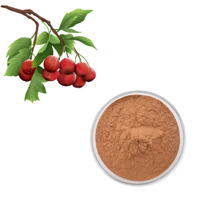 Chiết xuất Hawthorn Berry Flavones 80% bột Chiết xuất lá Crataegus