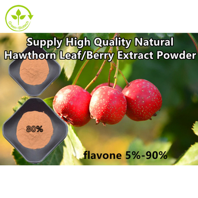 Chiết xuất Hawthorn Berry Flavones 80% bột Chiết xuất lá Crataegus