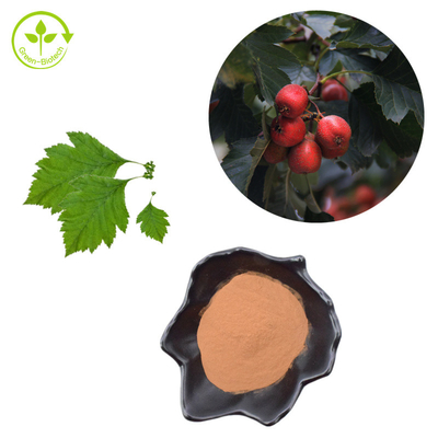 Chiết xuất Hawthorn Berry Flavones 80% bột Chiết xuất lá Crataegus