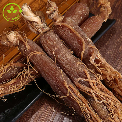 Cấp thực phẩm Bột nhân sâm đỏ tự nhiên Hàn Quốc Bột chiết xuất từ ​​​​rễ nhân sâm đỏ