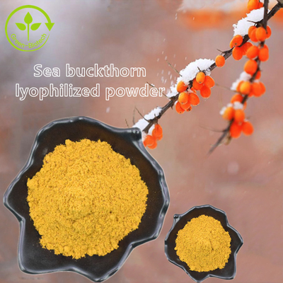 Chiết xuất thực vật Dầu hắc mai biển Fructus Hippophae Dầu Hippophae Rhamnoides