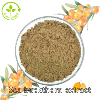 Chiết xuất thực vật Dầu hắc mai biển Fructus Hippophae Dầu Hippophae Rhamnoides