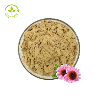 Chiết xuất thực vật Echinacea Purpurea 2% bột axit rau diếp xoăn