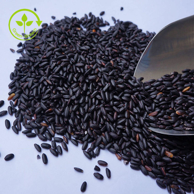 Số lượng lớn Chiết xuất gạo đen nguyên chất 100% Bột Anthocyanins 10 - 25%
