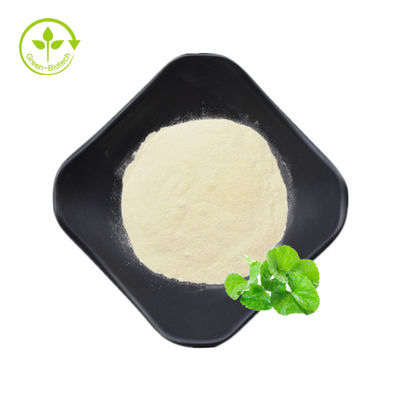 Gotu Kola Extract 40% Asiaticoside Powder Natural Centella Asiatica Extract