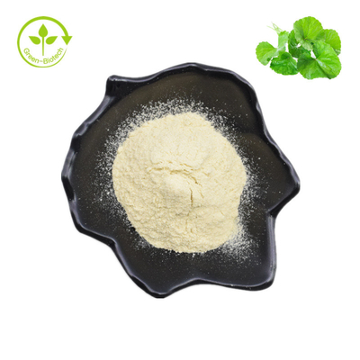 Chiết xuất mỹ phẩm Gotu Kola 50% Asiaticoside Natural Hydrocotyle Asiatica Extract