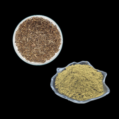 2% 10% 20% 40% Turkesterone Extract Bột bổ sung Ajuga Turkestanica