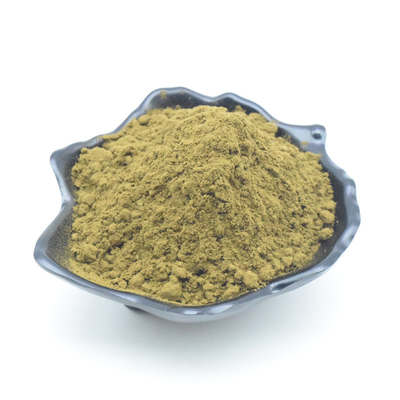 Giá tốt nhất Chiết xuất Ajuga Turkestanica Pure Turkesterone 2% 10% Turkesterone Powder