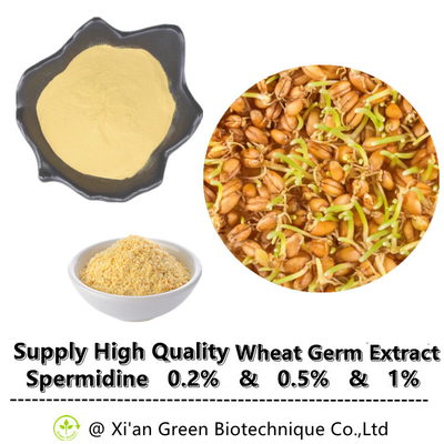 Bán buôn Thực phẩm bổ sung tự nhiên Chiết xuất mầm lúa mì Bột Spermidine 0,2% 0,5% 1%