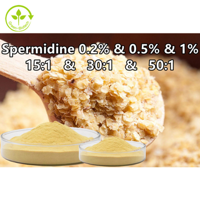 Chiết xuất mầm lúa mì Bột tinh trùng Thực phẩm bổ sung Spermidine 0,1% 0,5% 1%