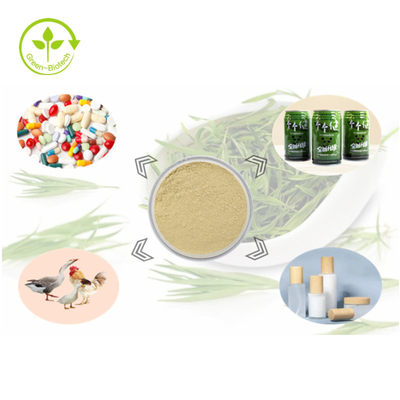 Flavonoid 24% Bột 100% Thực vật Tự nhiên Chiết xuất Lá Tre
