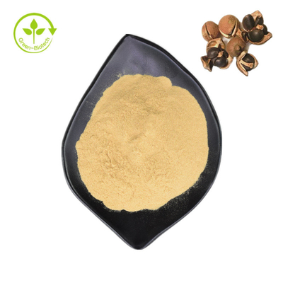 Chiết xuất hạt Camellia Sinensis tự nhiên 98% trà Saponin cho thực phẩm