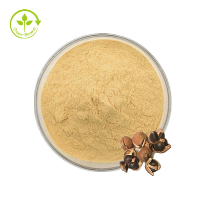 Chiết xuất hạt Camellia Sinensis tự nhiên 98% trà Saponin cho thực phẩm