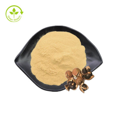 Chiết xuất hạt trà Bột saponin tự nhiên 90% cho mỹ phẩm
