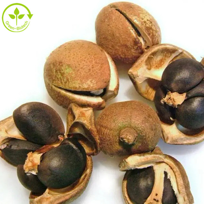 Chiết xuất hạt Camellia Sinensis Bột trà Saponin 50% 60% 70% 80% 85% 90% 95% 98%