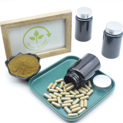 Bổ sung chiết xuất Ajuga Turkestanica nguyên chất 10% 40% 500mg Viên nang Turkesterone