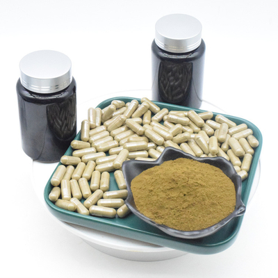 Ajuga Turkestanica Chiết xuất viên nang Turkesterone cho thể hình