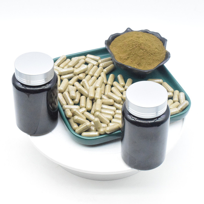 Bột chiết xuất OEM Ajuga Turkestanica 2% 10% 500mg Viên nang Turkesterone