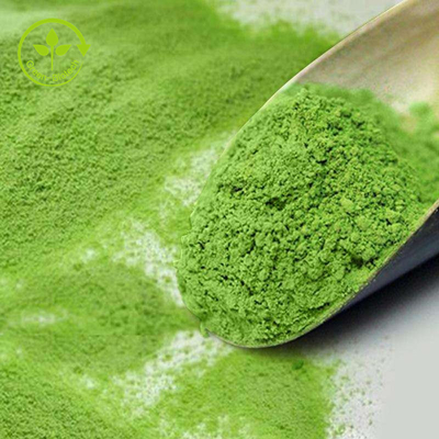 Bột trà xanh nguyên chất số lượng lớn Bột Matcha hữu cơ cho thực phẩm / đồ uống