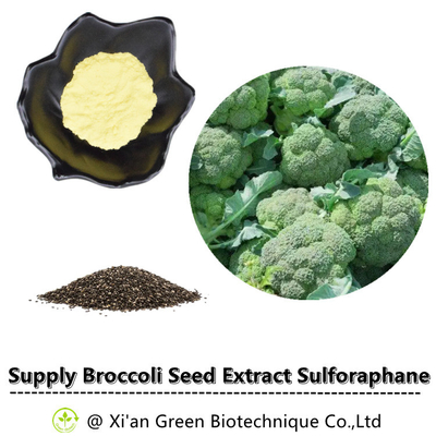 Chiết xuất hạt bông cải xanh Sulforaphane Glucosinolate CAS 21414-41-5 13% Glucoraphanin Powder