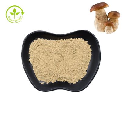 Natural Penny Bun Porcini Mushroom Extract Pure Boletus Powder 99%