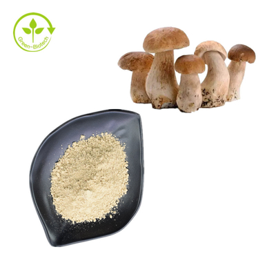 Natural Penny Bun Porcini Mushroom Extract Pure Boletus Powder 99%