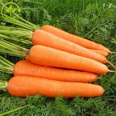Phụ gia thực phẩm Màu lên men Bột Beta Carotene 10%