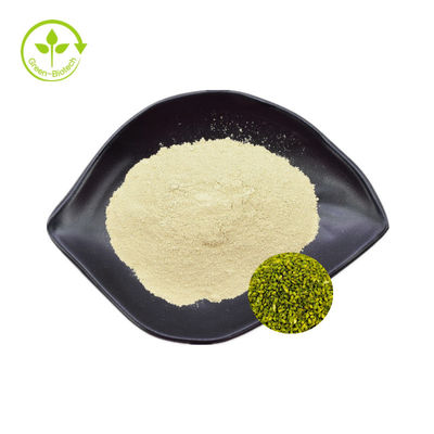 Nhà máy cung cấp chiết xuất sophora japonica Rutin 95% Sophora Japonica Extract Rutin Powder