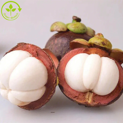 Chiết xuất măng cụt tự nhiên nguyên chất măng cụt p.e-alpha-mangostin 10% -90% bột chiết xuất Alpha Mangostin