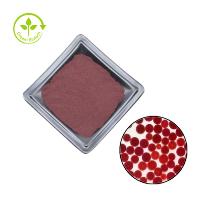 Pure Natura 5% 10% Astaxanthinl Bột dầu Astaxanthin