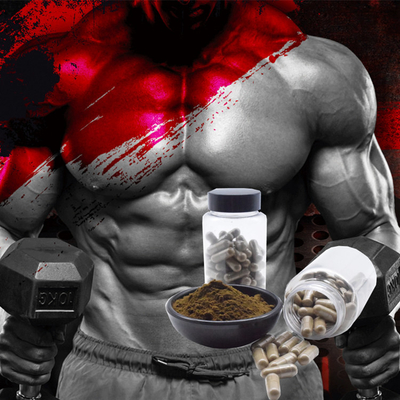 Bổ sung OEM Ajuga Turkestanica Nhãn hiệu riêng Turkesterone 10% 20% Chiết xuất Turkesterone Viên nang Turkesterone