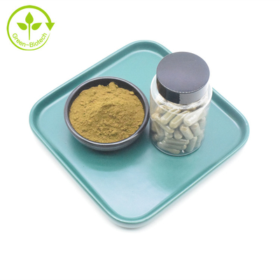 Bổ sung OEM Ajuga Turkestanica Nhãn hiệu riêng Turkesterone 10% 20% Chiết xuất Turkesterone Viên nang Turkesterone