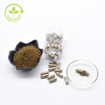Nhà máy Bán buôn Turkesterone nguyên chất 40% bột Nhãn hiệu riêng Viên nang Ajuga Turkesterone 500mg