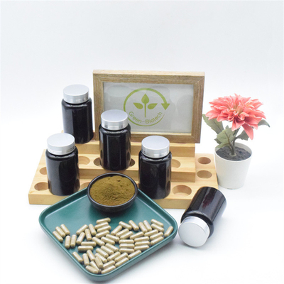 100% tự nhiên Ajuga Turkestanica Chiết xuất Turkesterone 10% Viên nang Bột Turkesterone nguyên chất